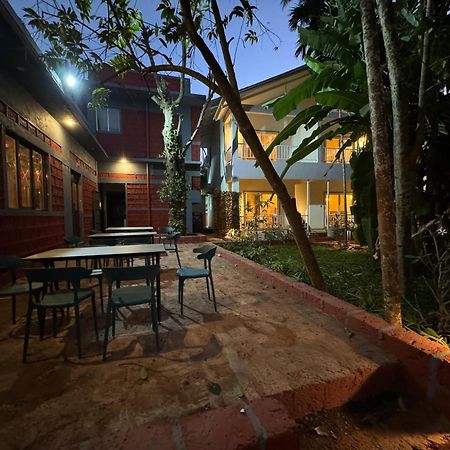 Vits Select Casuarina Diveagar Bagian luar foto